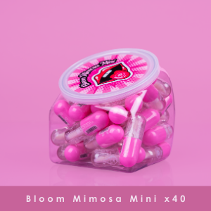 Bloom mimosa mini x 40 pcs